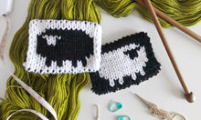 Load image into Gallery viewer, Intro to Double Knitting with Carissa Browning