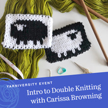 Load image into Gallery viewer, Intro to Double Knitting with Carissa Browning