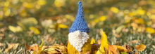 Load image into Gallery viewer, Gno Fun Like Gnome Fun with Sarah Schira