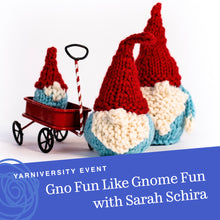 Load image into Gallery viewer, Gno Fun Like Gnome Fun with Sarah Schira