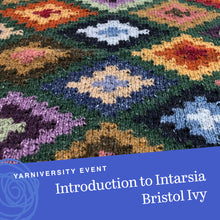 Load image into Gallery viewer, Introduction to Intarsia with Bristol Ivy